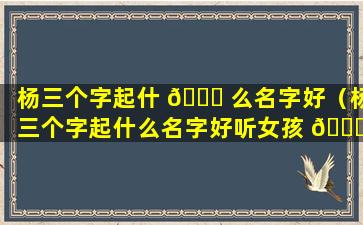 杨三个字起什 🐞 么名字好（杨三个字起什么名字好听女孩 🍁 ）